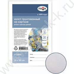 Холст на картоне 20*30 Студия 100% хлопок, 280г/м2, мелкое зерно | Фото 1