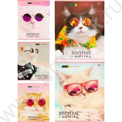 Тетрадь  48л клетка "Котики в очках" ассорти | Фото 1