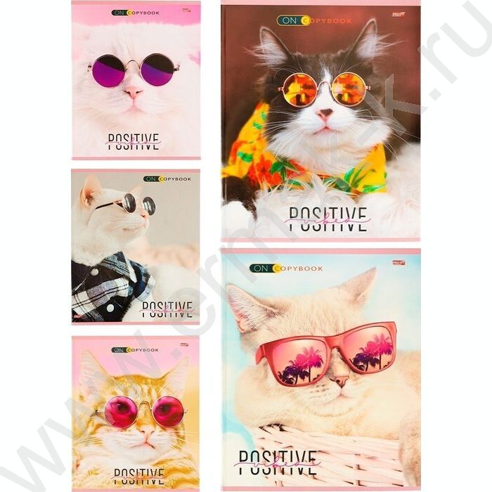 Тетрадь  48л клетка "Котики в очках" ассорти | Фото 1