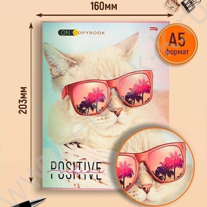 Тетрадь  48л клетка "Котики в очках" ассорти | Фото 3