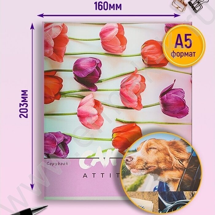 Тетрадь  48л клетка "Цветочный вид" ассорти | Фото 3
