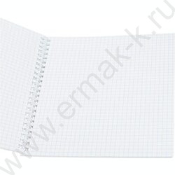 Тетрадь  48л клетка/спираль "Вид на мегаполисы" ассорти | Фото 6