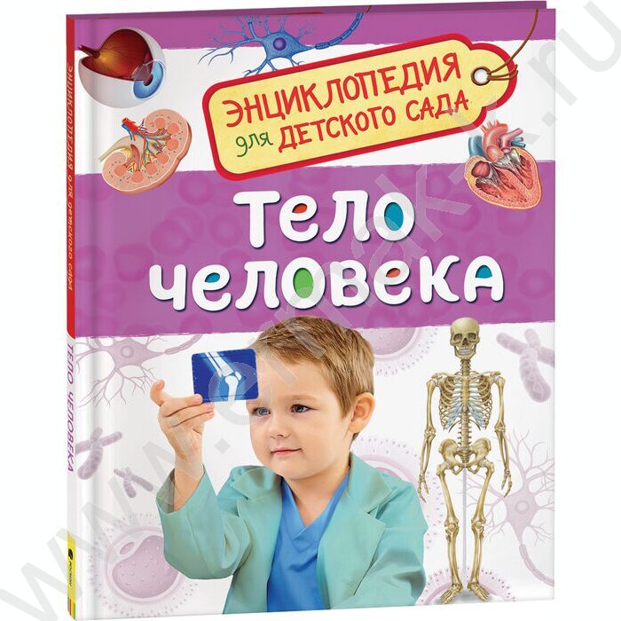 Энциклопедии для детского сада Тело человека | Фото 1