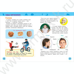Энциклопедии для детского сада Тело человека | Фото 3