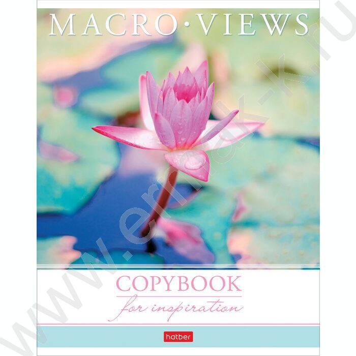 Тетрадь  80л клетка "Макровьюс" /лак/ 5видов | Фото 1