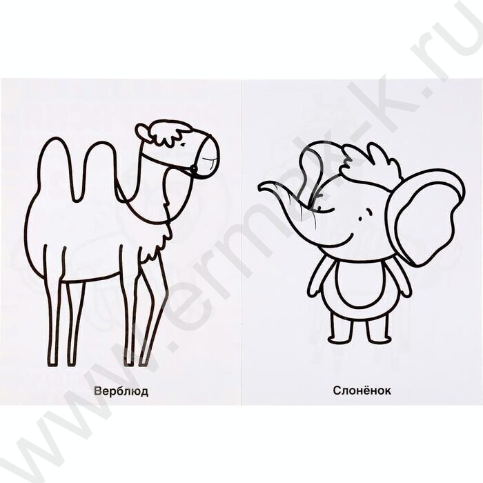 Раскраска для детского сада А4 Зоопарк | Фото 3