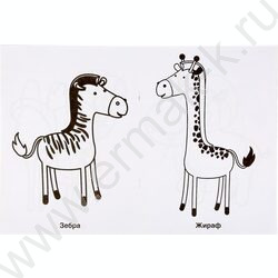 Раскраска для детского сада А4 Зоопарк | Фото 4