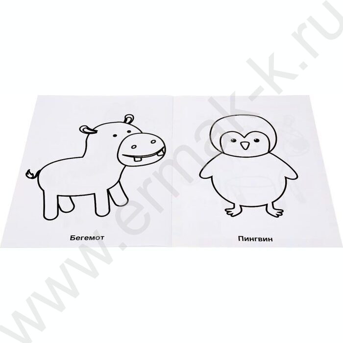 Раскраска для детского сада А4 Зоопарк | Фото 5