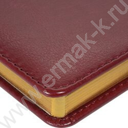 Ежедневник н/дат А6+ 136л Sidney Nebraska бордовый | Фото 4