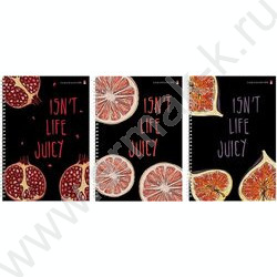 Тетрадь  96л А4 клетка/спираль "Juicy live" 3вида | Фото 1