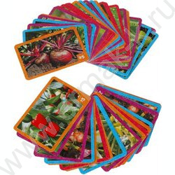 Мемо Фрукты и овощи | Фото 6