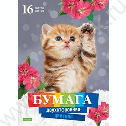 Бумага цв. двухсторонняя А4 16л/16цв Котенок | Фото 1