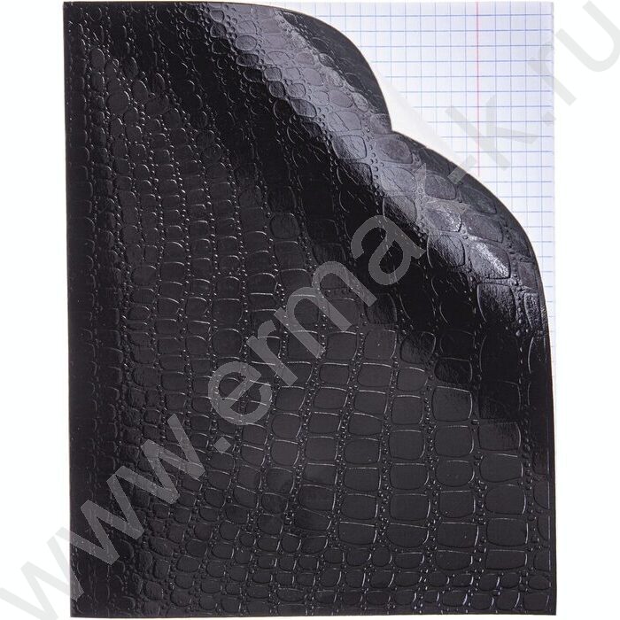 Тетрадь  48л клетка "Бум/винил" METALLIC тиснение CROCO черный | Фото 2
