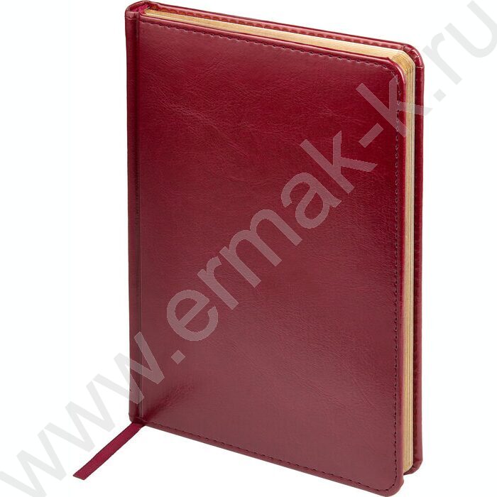 Ежедневник н/дат А5 136л Sidney Nebraska бордовый/золотой обрез,ляссе,линейка | Фото 1