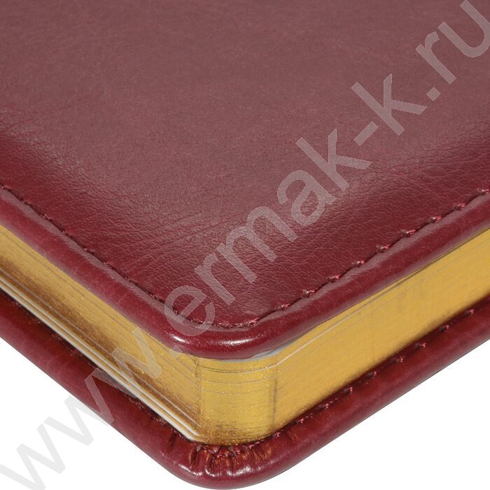 Ежедневник н/дат А5 136л Sidney Nebraska бордовый/золотой обрез,ляссе,линейка | Фото 3