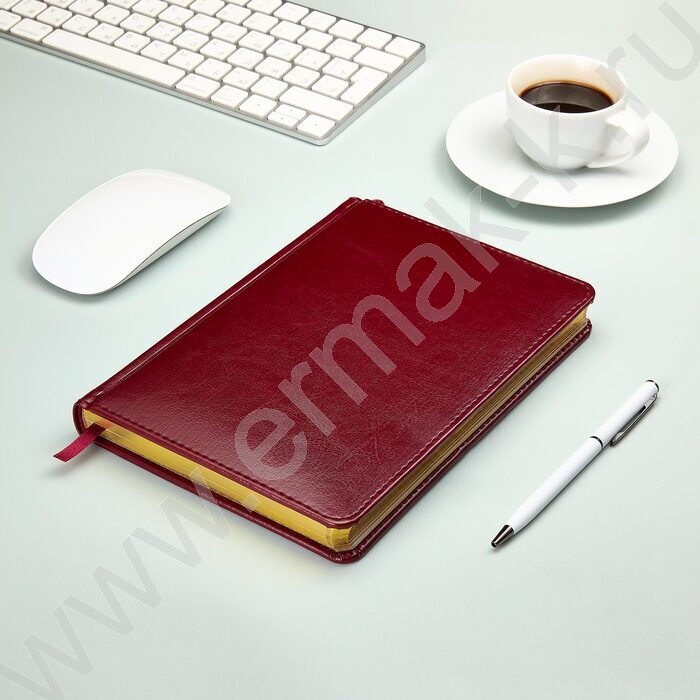 Ежедневник н/дат А5 136л Sidney Nebraska бордовый/золотой обрез,ляссе,линейка | Фото 4