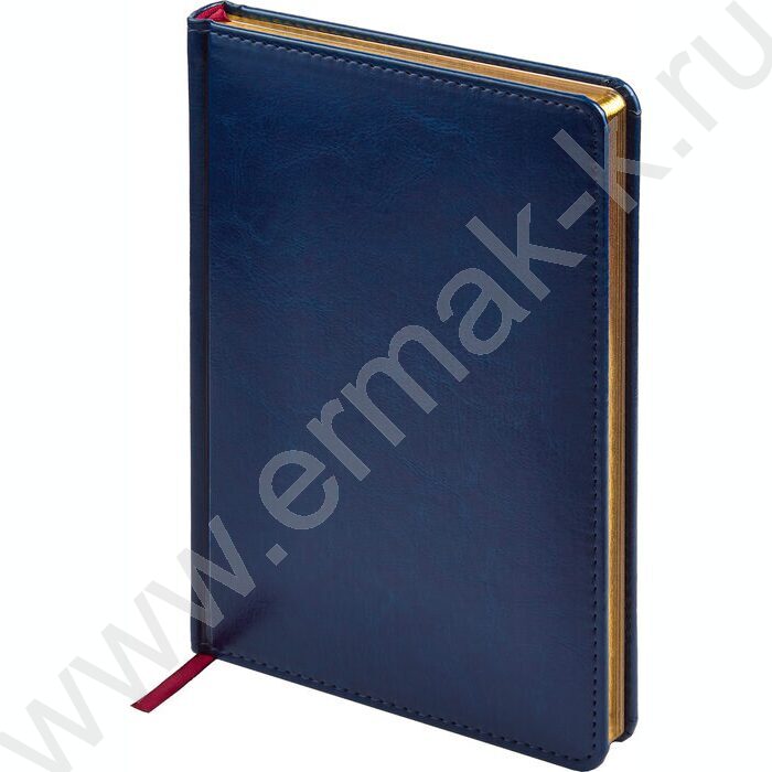 Ежедневник н/дат А5 136л Sidney Nebraska синий/золотой обрез,ляссе,линейка | Фото 1