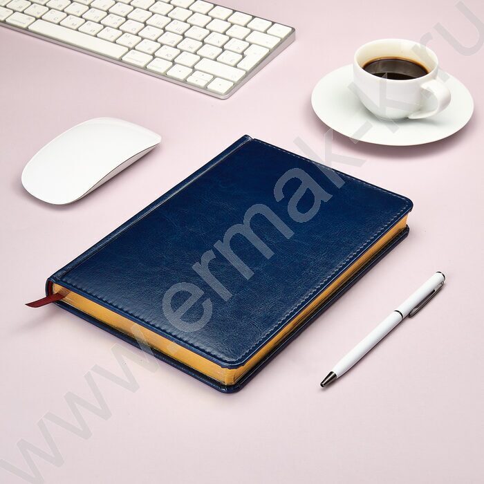 Ежедневник н/дат А5 136л Sidney Nebraska синий/золотой обрез,ляссе,линейка | Фото 4