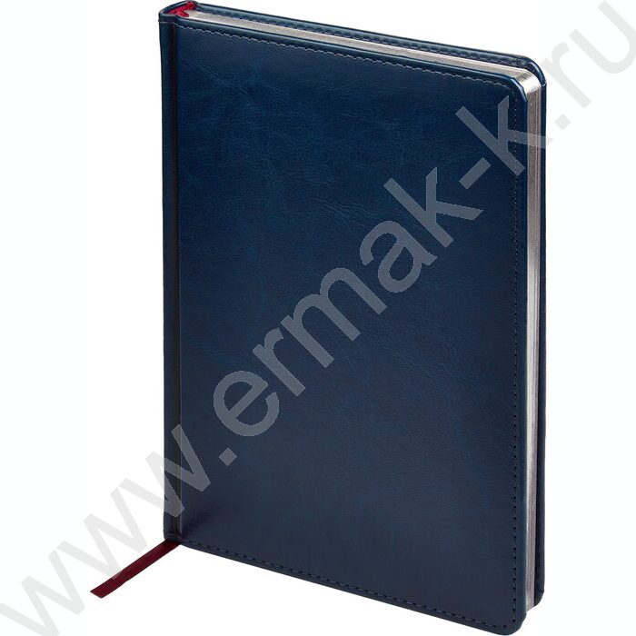 Ежедневник н/дат А5 136л Sidney Nebraska синий/серебр. обрез,ляссе,линейка | Фото 1