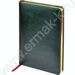 Ежедневник н/дат А5 136л Sidney Nebraska зеленый/золотой обрез,ляссе,линейка | Фото 1