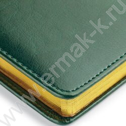 Ежедневник н/дат А5 136л Sidney Nebraska зеленый/золотой обрез,ляссе,линейка | Фото 4