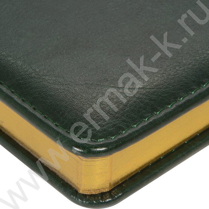 Ежедневник н/дат А5 136л Sidney Nebraska зеленый/золотой обрез,ляссе,линейка | Фото 5