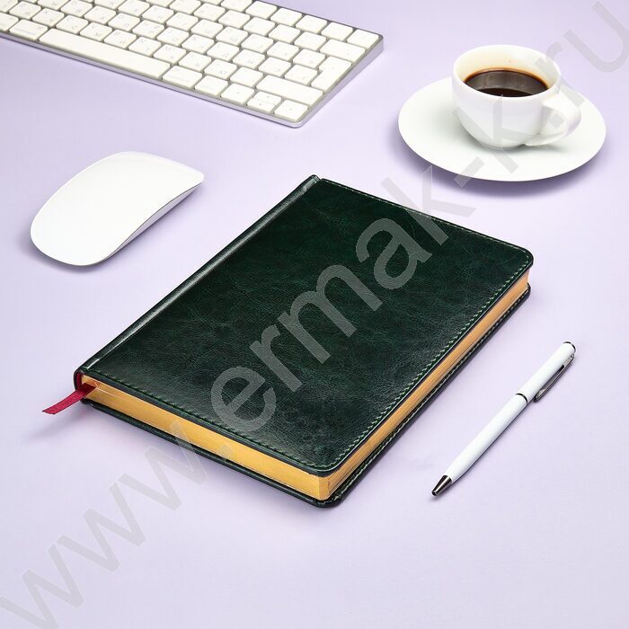 Ежедневник н/дат А5 136л Sidney Nebraska зеленый/золотой обрез,ляссе,линейка | Фото 7