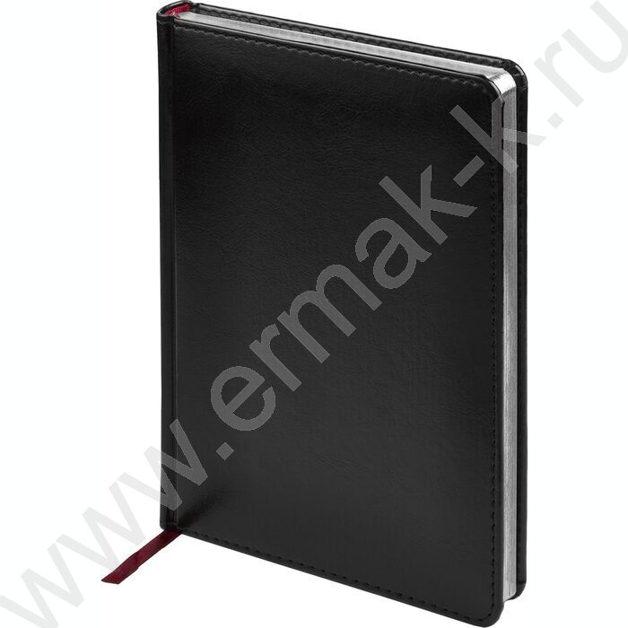 Ежедневник н/дат А5 136л Sidney Nebraska черный/серебр. обрез,ляссе,линейка | Фото 1