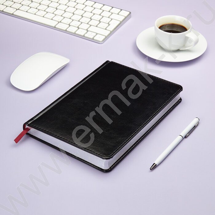 Ежедневник н/дат А5 136л Sidney Nebraska черный/серебр. обрез,ляссе,линейка | Фото 3