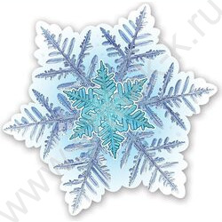 Украшение на скотче Снежинка | Фото 1