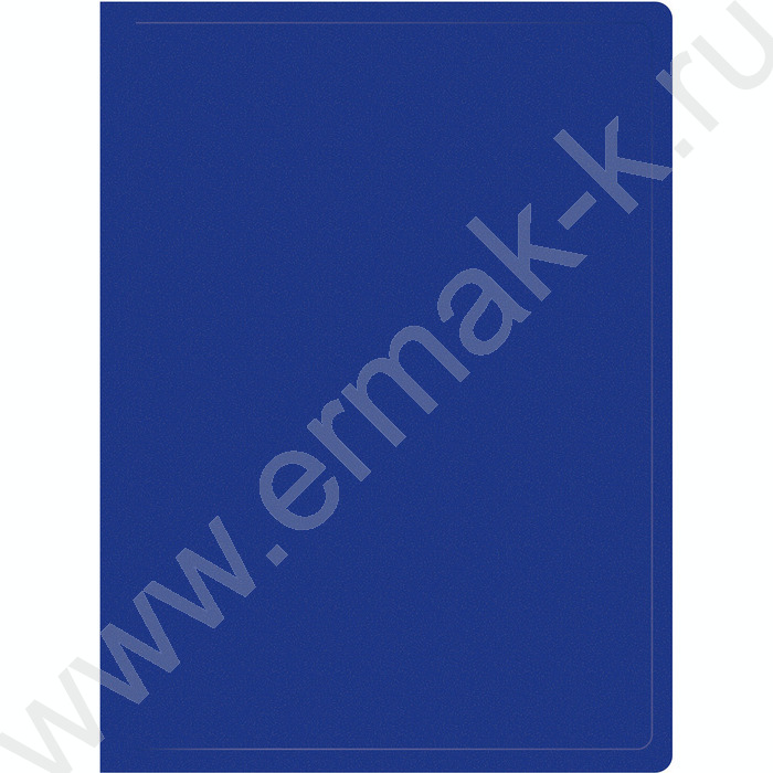 Папка  10 файлов синяя /пластик 0.5мм | Фото 1