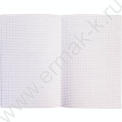 Тетрадь  80л А4 клетка "NEWtone PASTEL Олива" /глянец/ | Фото 2