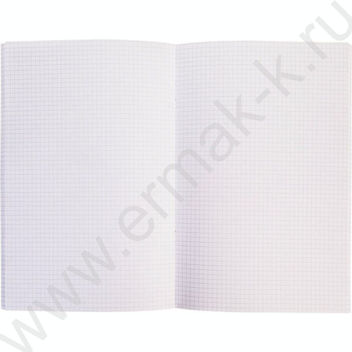 Тетрадь  80л А4 клетка "NEWtone PASTEL Олива" /глянец/ | Фото 2