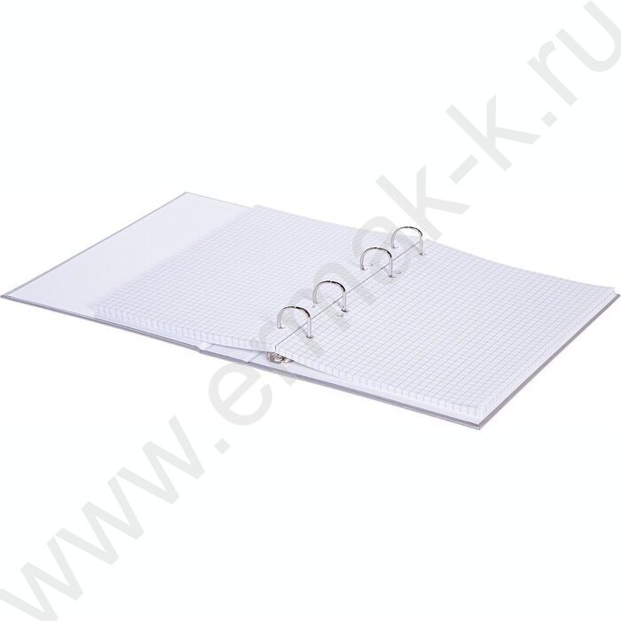 Тетрадь  80л клетка/кольца /смен.блок /глянц.лам/  "NEWtone PASTEL Серый жемчуг" | Фото 2