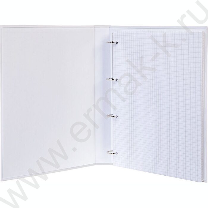 Тетрадь  80л А4 клетка/кольца /глянц.лам/  "NEWtone PASTEL Олива" | Фото 2