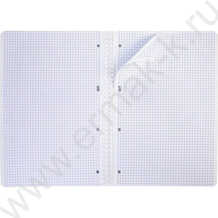 Тетрадь  80л А4 клетка/спираль "Time" /мат.ламин. 3D фольга,3D лак/ ассорти | Фото 7