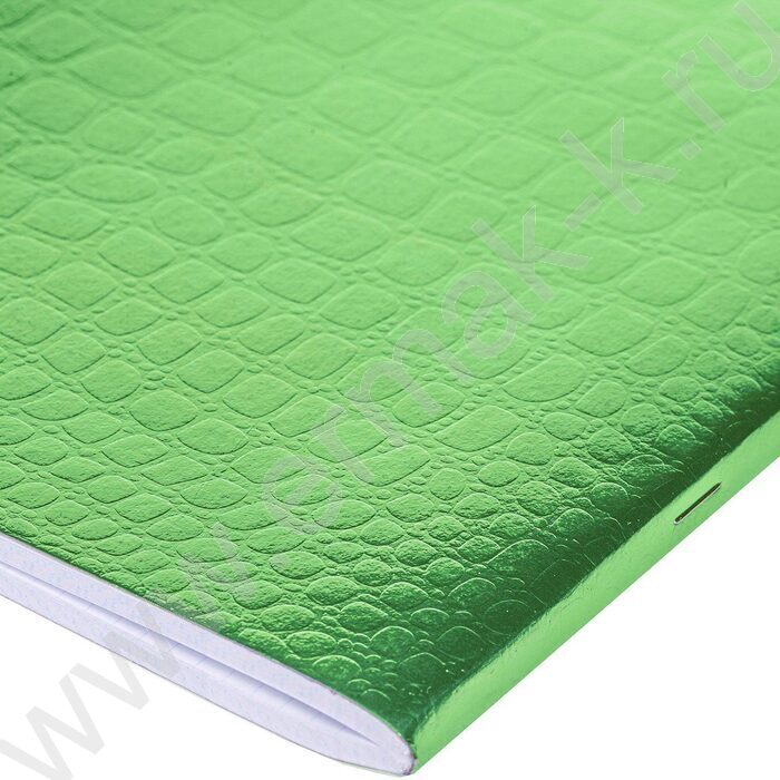 Тетрадь  96л А4 клетка "Бум/винил" METALLIC тиснение CROCO Зелёный | Фото 3