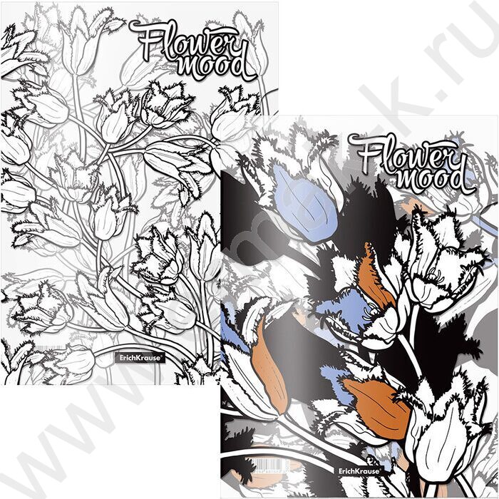 Папка уголок А4 Tulips /набор 4шт /ассорти | Фото 1