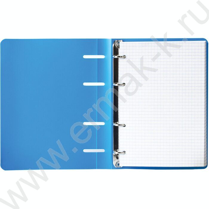 Тетрадь  80л А5 клетка/кольца/пластик обл. /голубая | Фото 3