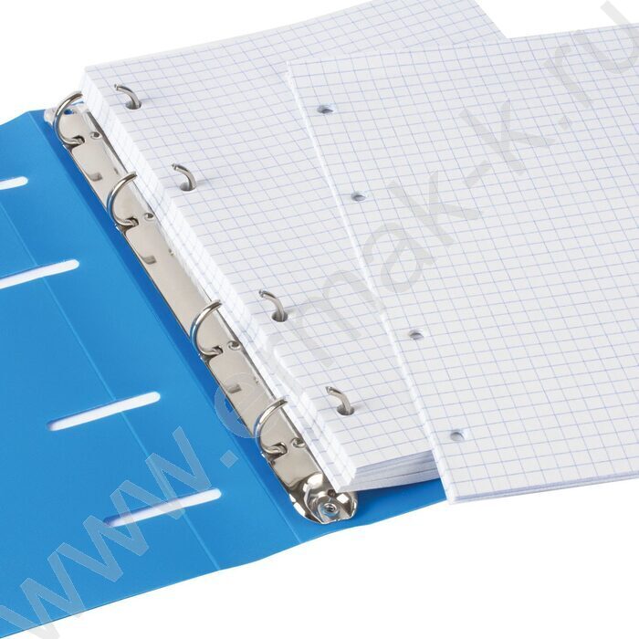 Тетрадь  80л А5 клетка/кольца/пластик обл. /голубая | Фото 4