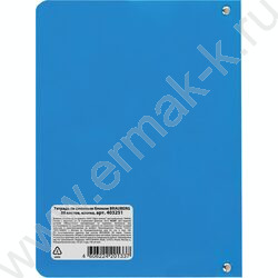 Тетрадь  80л А5 клетка/кольца/пластик обл. /голубая | Фото 5