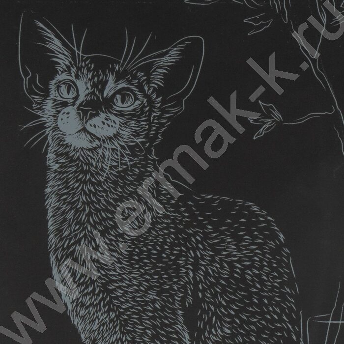 Набор д/творчества Гравюра большая Абиссинская кошка с эффектом золота | Фото 5