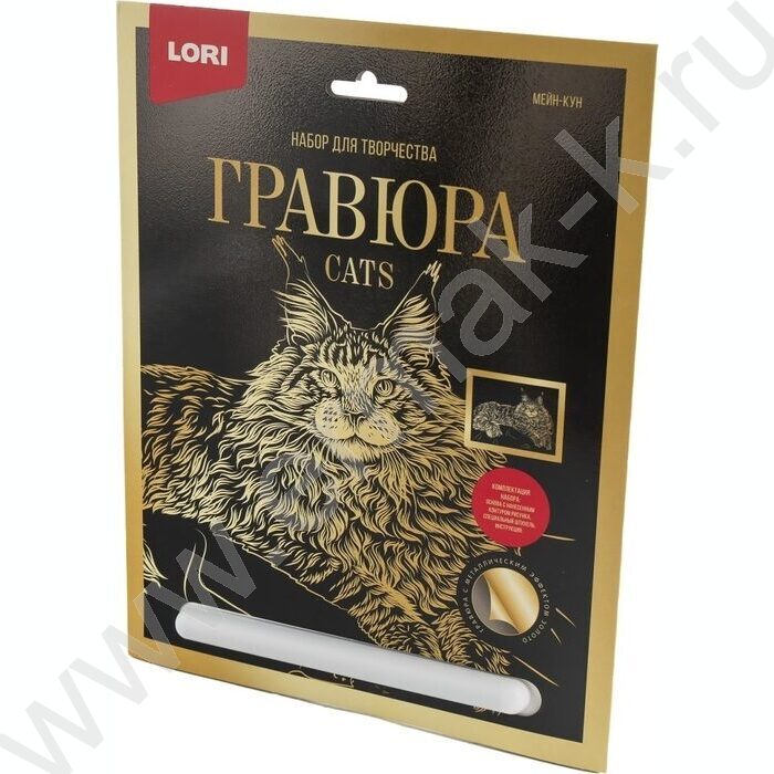 Набор д/творчества Гравюра большая Мейн-кун с эффектом золота | Фото 1