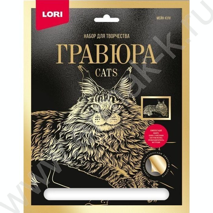 Набор д/творчества Гравюра большая Мейн-кун с эффектом золота | Фото 2