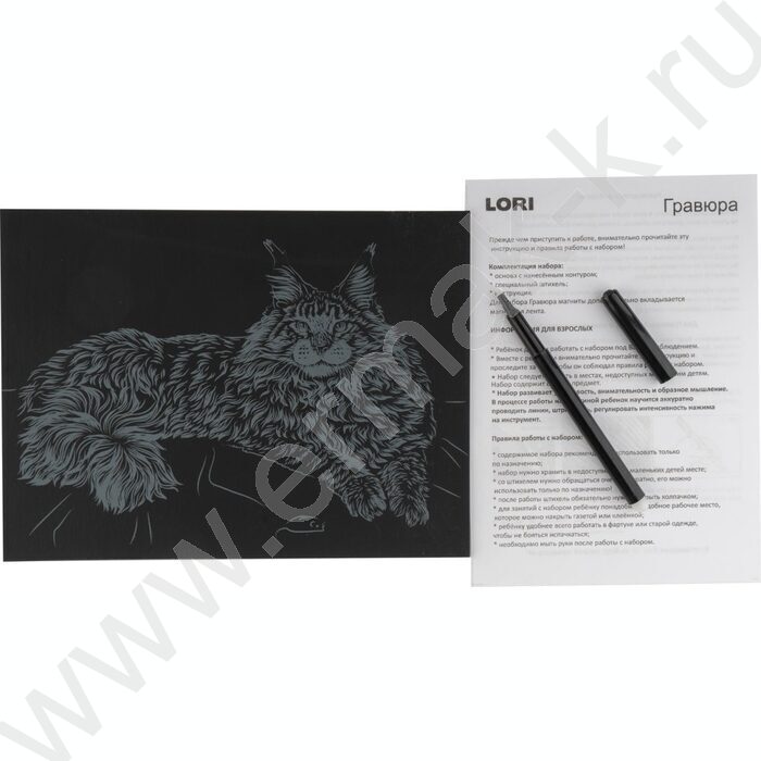 Набор д/творчества Гравюра большая Мейн-кун с эффектом золота | Фото 4