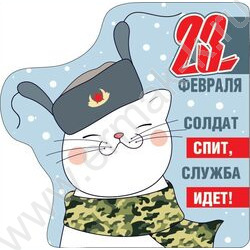 Магнит 23 февраля.Солдат спит,служба идет! | Фото 1