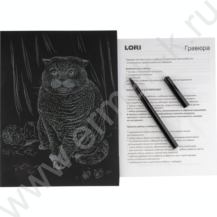 Набор д/творчества Гравюра серебро Британская кошка | Фото 4