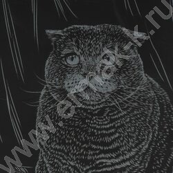 Набор д/творчества Гравюра серебро Британская кошка | Фото 5