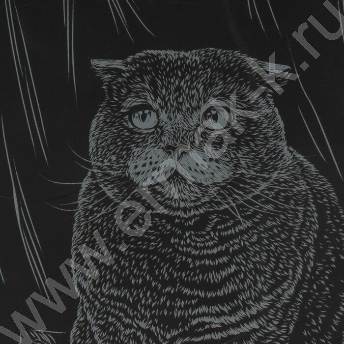 Набор д/творчества Гравюра серебро Британская кошка | Фото 5