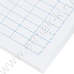 Книга Учёта бухгалтерская А4 96л пустографка /тв.обл. из картона + корешок б/вин | Фото 4